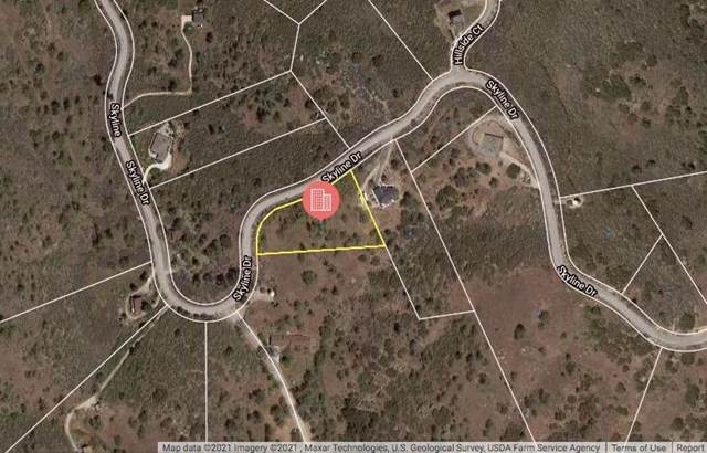 0 Skyline Drive - Photo 1