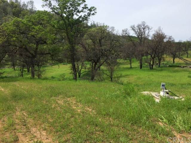 22492 Jerusalem Grade - Photo 1