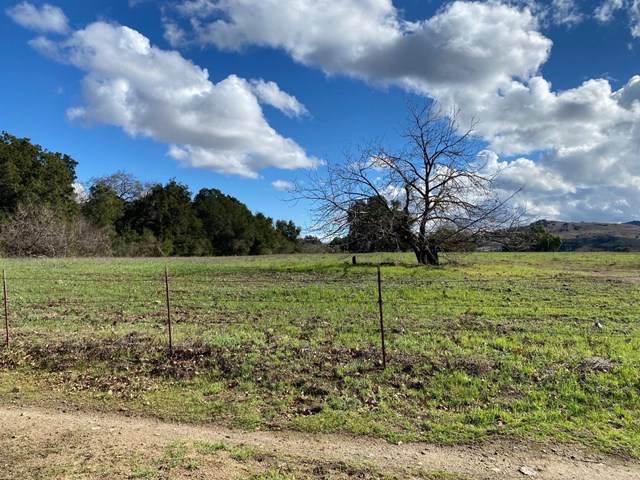 20210 Harry Road - Photo 1