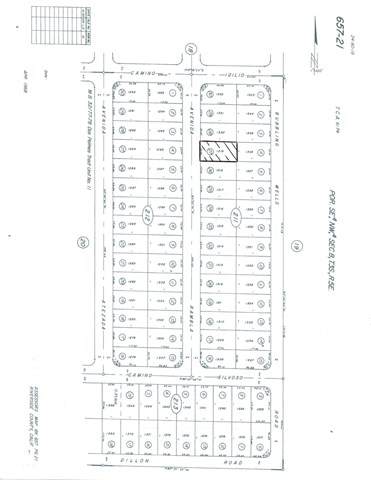 1319 Avenida Rambla - Photo 1