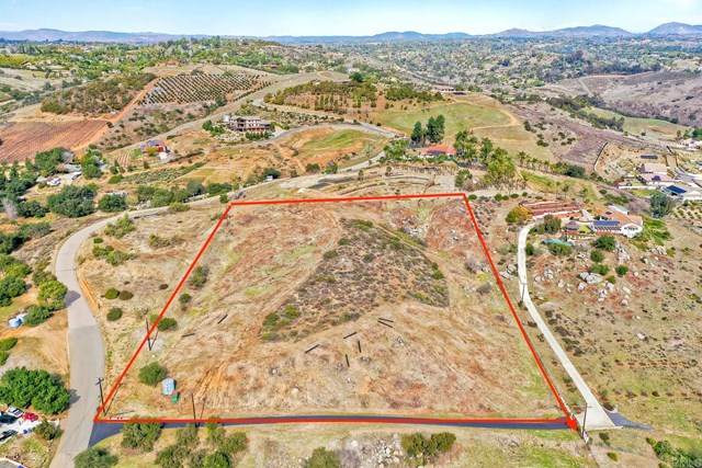 32051 Shamrock Road - Photo 1