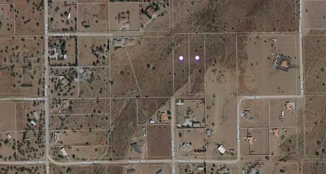 10311 Elsinore Road - Photo 1