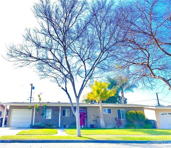 6828 Almada Street - Photo 1