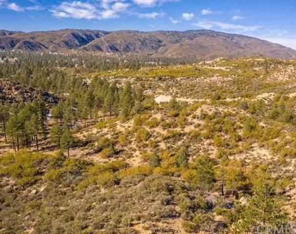 0 Palm Canyon Drive - Photo 1