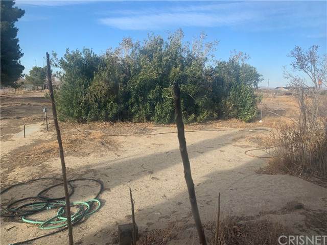 16507 Avenue T4 - Photo 1