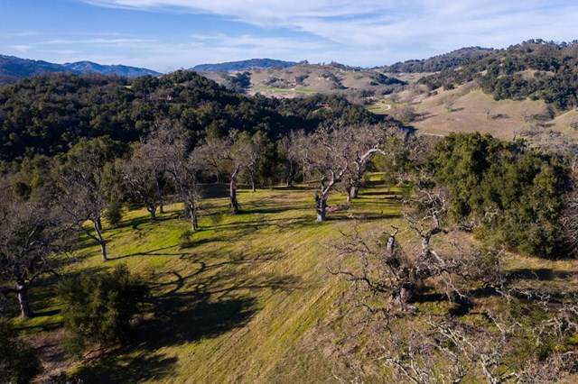 37 Arroyo Sequoia - Photo 1