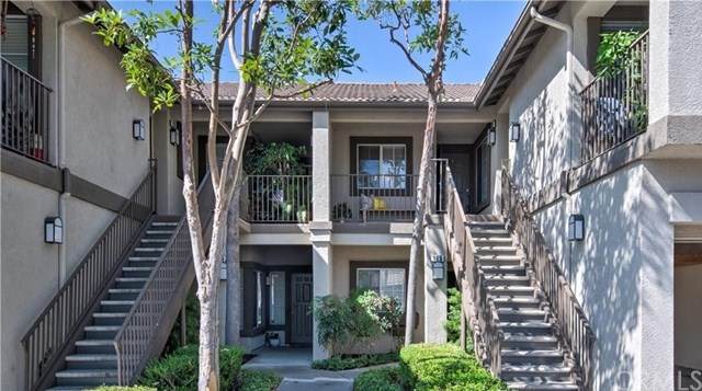 53 Chaumont Circle - Photo 1