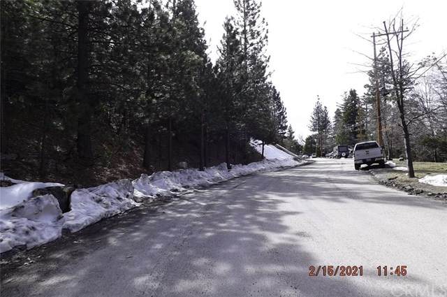 0 Spruce - Photo 1
