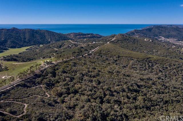 6645 Fern Canyon Road - Photo 1