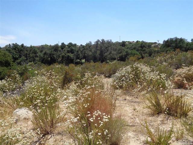 10 acres Forest Gate - Photo 1