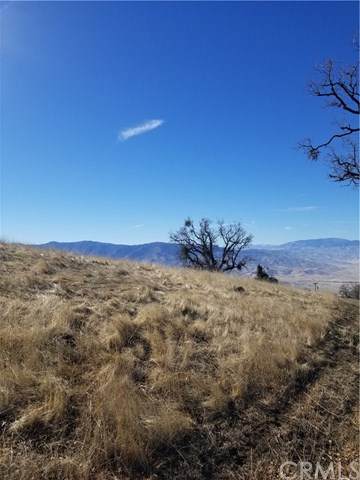 29901 Horsethief Drive - Photo 1