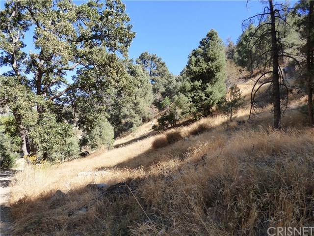 0 Valley Trail - Photo 1