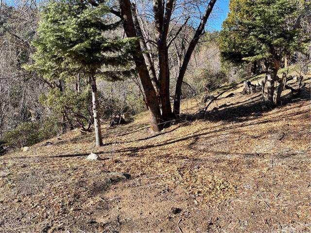 0 Tripp Lane - Photo 1