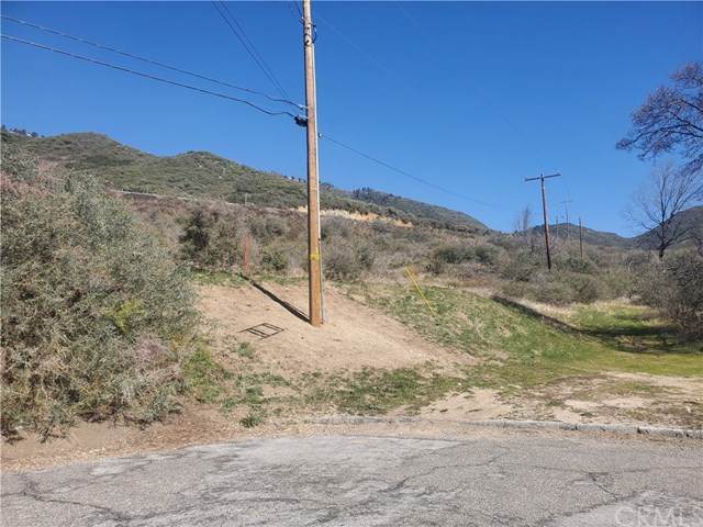 23696 Hillview - Photo 1
