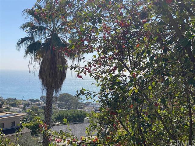 22212 Paseo Del Sur - Photo 1
