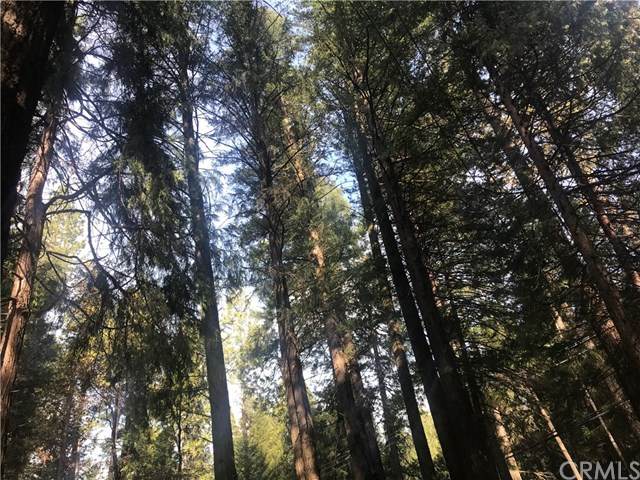 0 Hidden Lake Lane - Photo 1