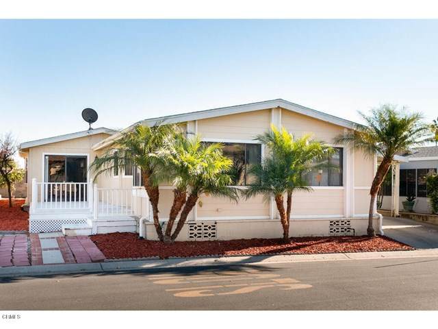 35 Poinsettia Gardens Drive - Photo 1