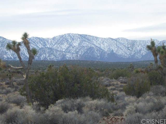 0 Vac/Fort Tejon Drt /200 Ste - Photo 1