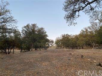 19136 Redbud Road - Photo 1