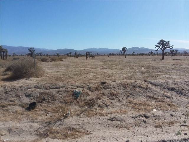 0 Palmdale Boulevard - Photo 1