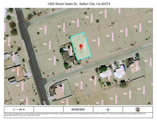 1202 Shore Oasis Street - Photo 1