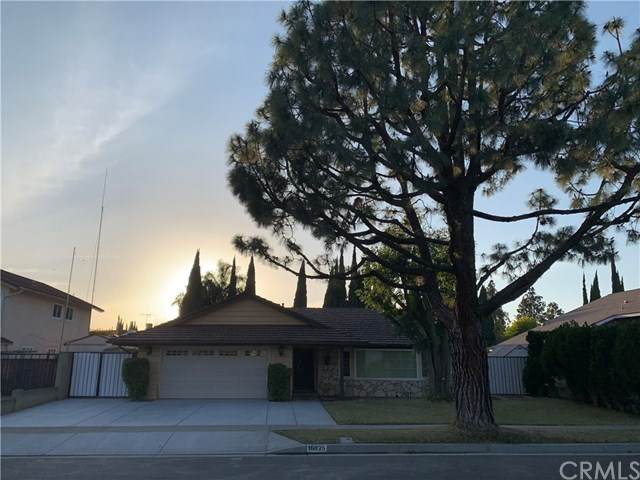 16825 Mount Younis Street - Photo 1