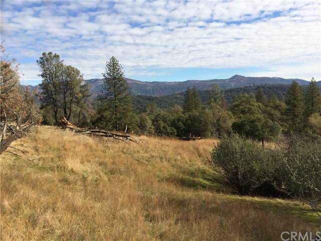 4907 Stumpfield Mountain Road - Photo 1