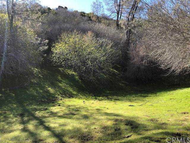 0 Hwy 198 - Photo 1