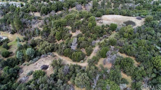 0 56.82AC Loch Lomond Ln - Photo 1