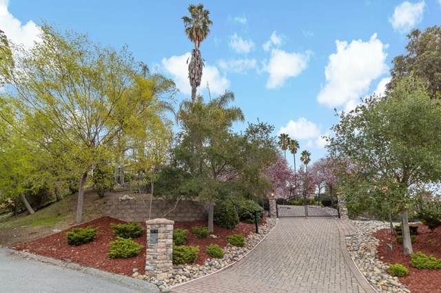 28437 Christopher Lane - Photo 1