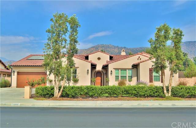 1015 Elderberry Drive - Photo 1