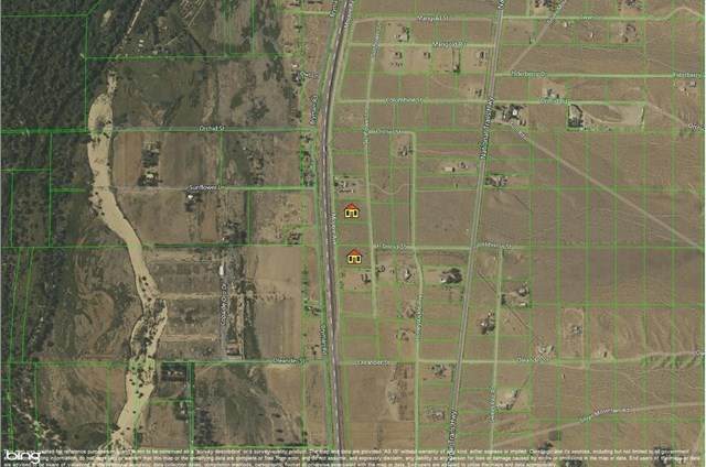 0 Sunflower Avenue - Photo 1