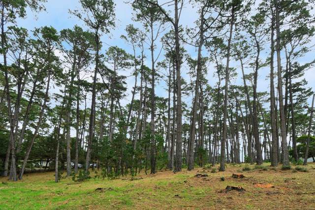 4019 Sunridge Road - Photo 1