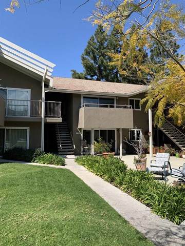 2517 Navarra Drive - Photo 1