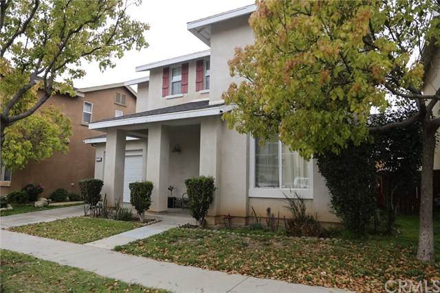 773 Paseo Ortega - Photo 1