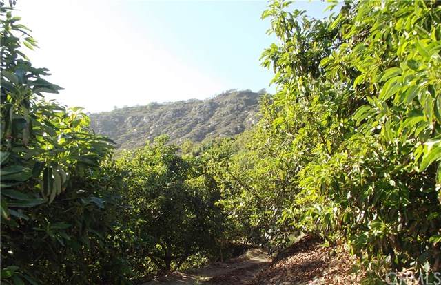 43520 Calle Colina - Photo 1