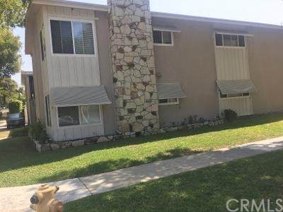 5700 Los Arcos Street - Photo 1
