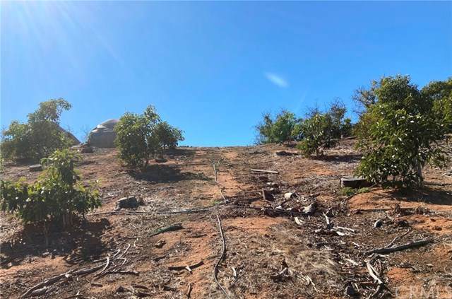 3 Buena Vista Road - Photo 1
