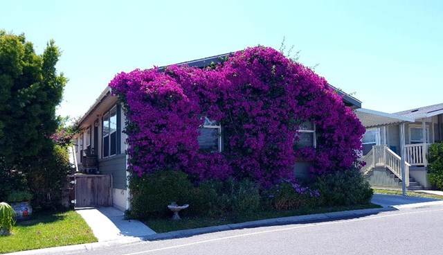 1225 Vienna Drive - Photo 1