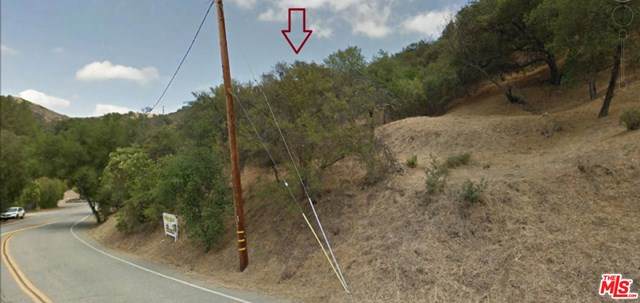 3260 Old Topanga Canyon Road - Photo 1