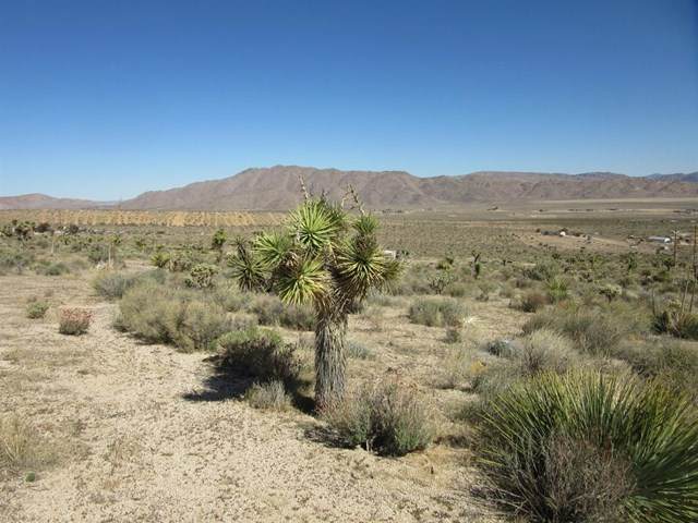 28267 Mountain View Road - Photo 1