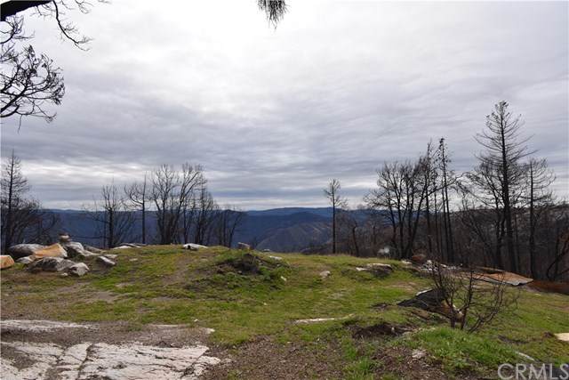 0 Tipsoo Peak Road - Photo 1