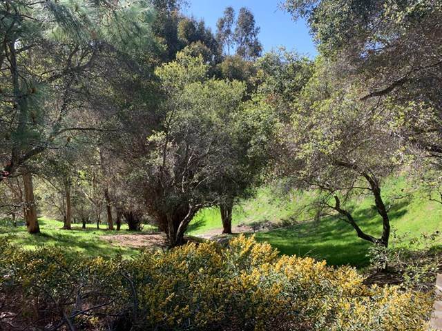 3350 La Mesa Drive - Photo 1