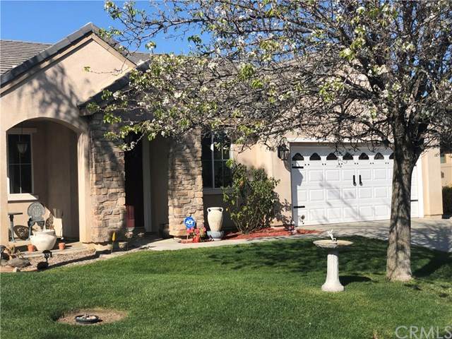 36058 Chittam Wood Place - Photo 1