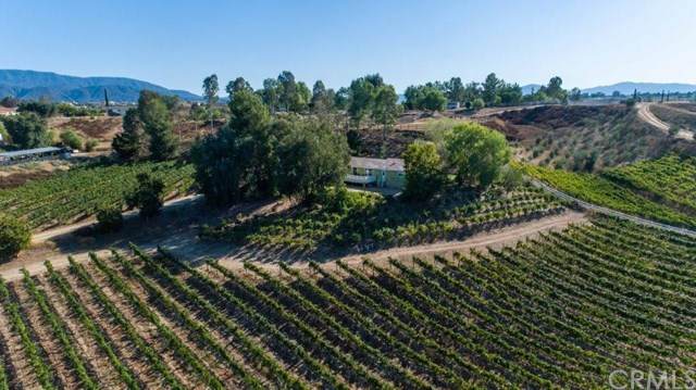 41125 Los Amantes Road - Photo 1