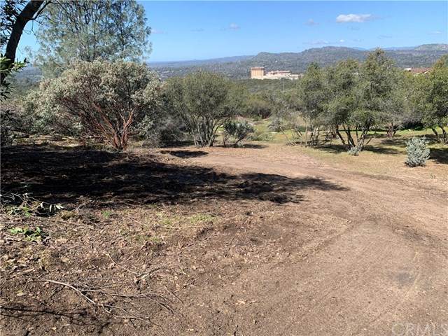 1234 Quartz Mountain - Photo 1