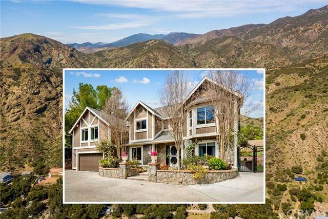 29305 Modjeska Canyon Road - Photo 1