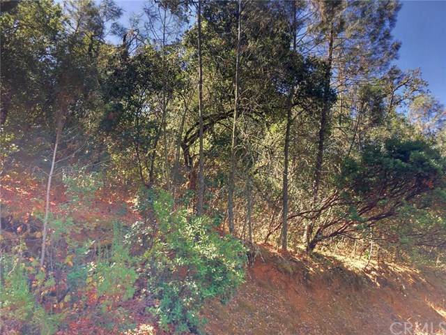 7022 Black Oak Street - Photo 1