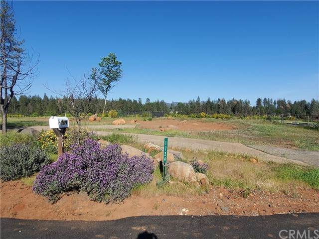 1724 Ellis Drive - Photo 1