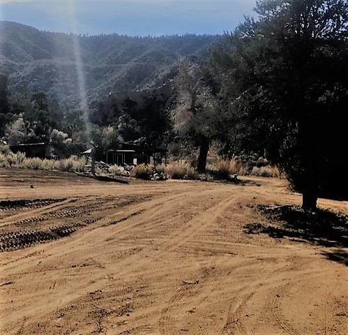 28000 Deep Creek Canyon Road - Photo 1